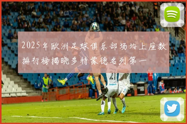 2025年欧洲足球俱乐部场均上座数排行榜揭晓多特蒙德名列第一