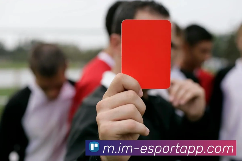 IM电竞平台生态图