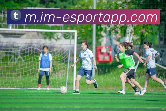 IM电竞APP 封面图